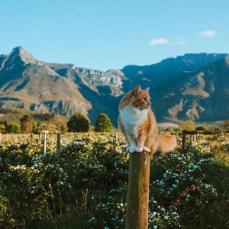 Vila Wildebraam Berry Estate Swellendam Exteriér fotografie