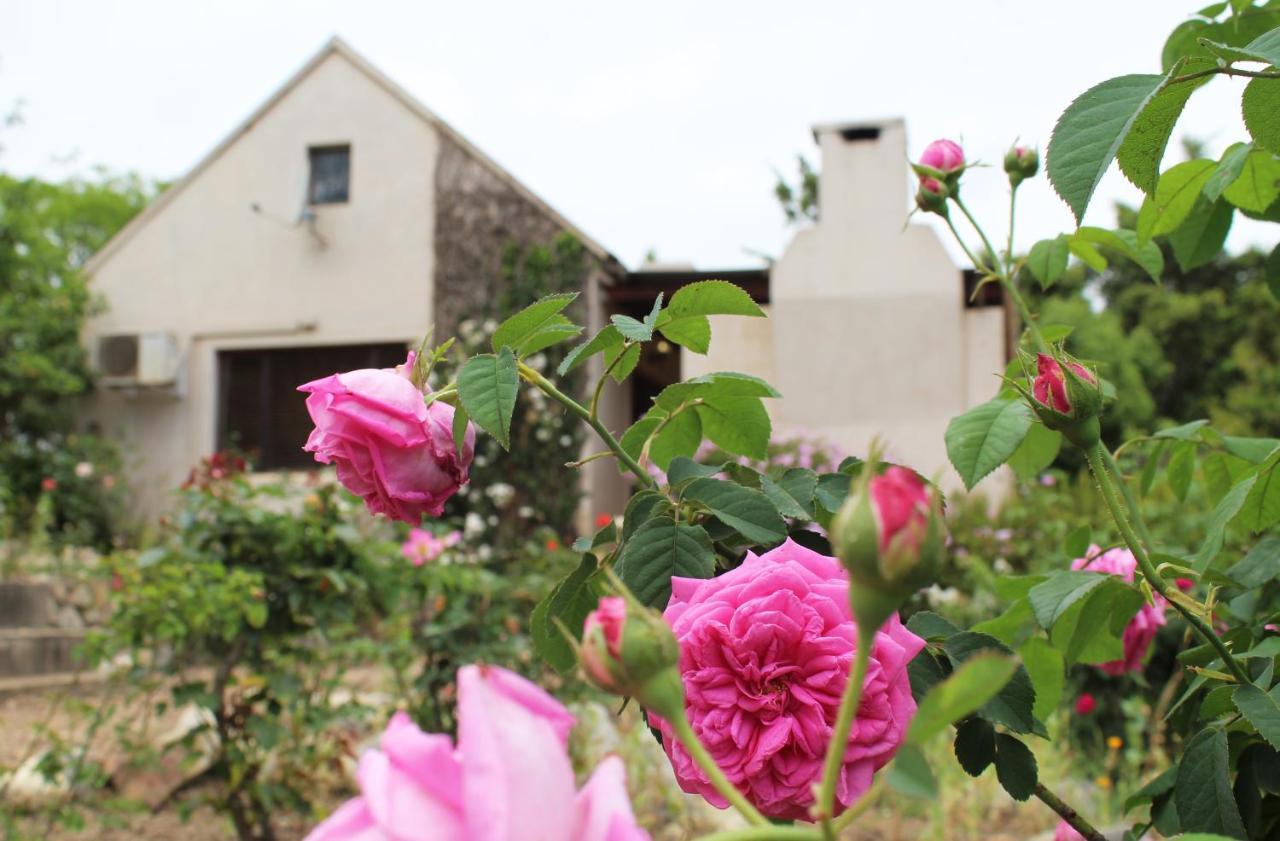 Vila Wildebraam Berry Estate Swellendam Exteriér fotografie