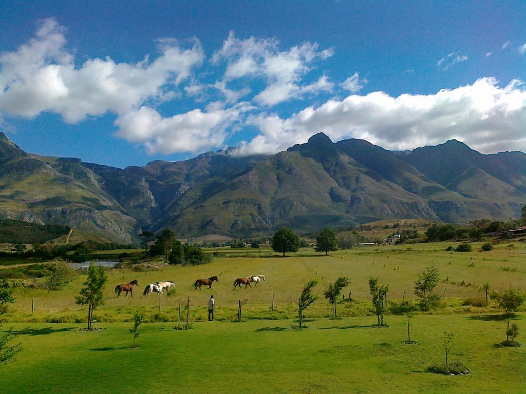 Vila Wildebraam Berry Estate Swellendam Exteriér fotografie