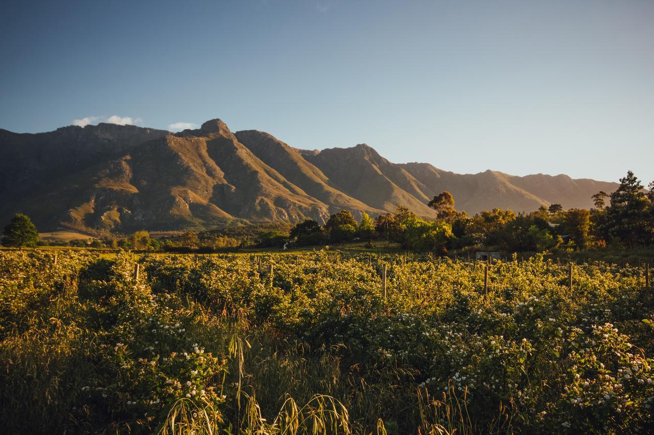 Vila Wildebraam Berry Estate Swellendam Exteriér fotografie
